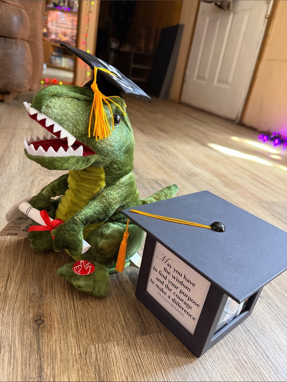 Green Dinosaur Plush Graduation 2021 Hat and graduation Photo Box